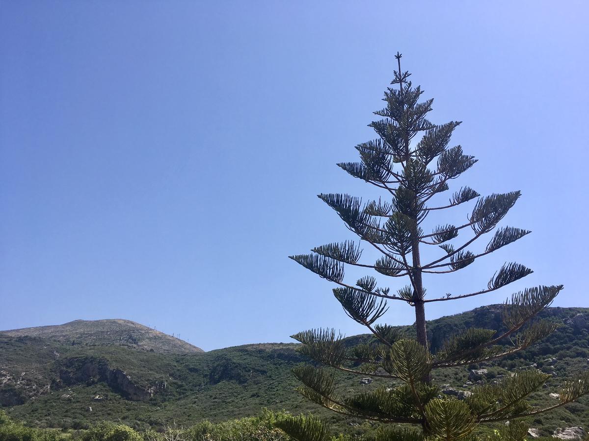 Alegria Kefalonia Katelios Ngoại thất bức ảnh